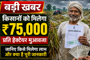 बड़ी खबर: किसानों को मिलेगा 75 हजार रुपये प्रति हेक्टेयर मुआवजा, जानिए किसे मिलेगा लाभ और क्या है पूरी जानकारी